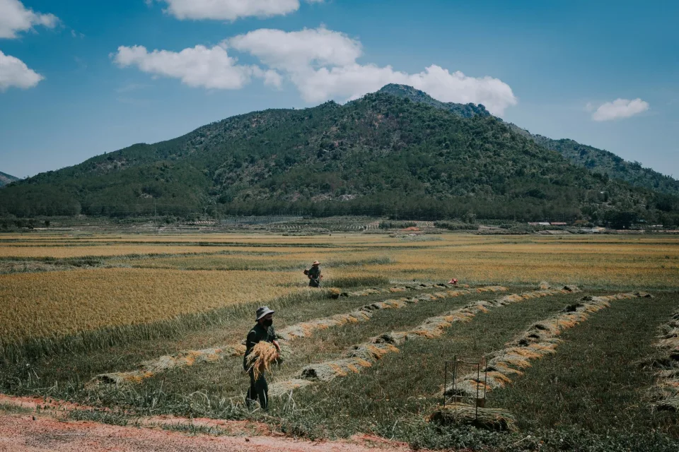 Kho gạo của Võ Văn Thư